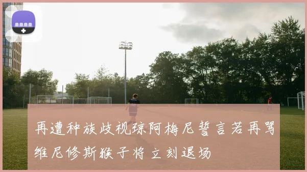 再遭种族歧视琼阿梅尼誓言若再骂维尼修斯猴子将立刻退场